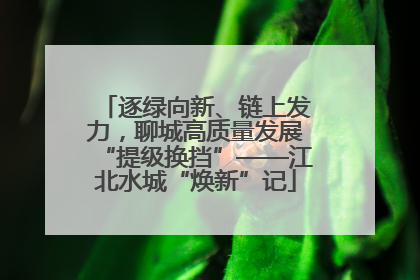 逐绿向新、链上发力，聊城高质量发展“提级换挡”——江北水城“焕新”记